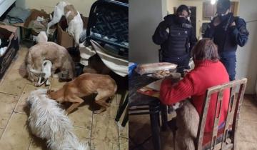 Imagen de Policía asiste a una mujer de 70 en estado de desnutrición al igual que sus 5 perros