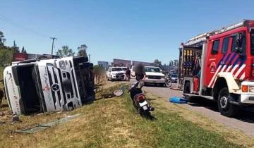 Imagen de Chascomús: volcó un camión con 92 vacunos en la Ruta 2
