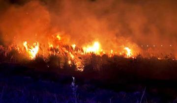 Imagen de Mar del Plata: un incendio de pastizales afectó 5 hectáreas en la Ruta 11