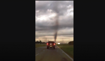 Imagen de Pinamar: el increíble tornado de mosquitos que apareció en la Ruta 74