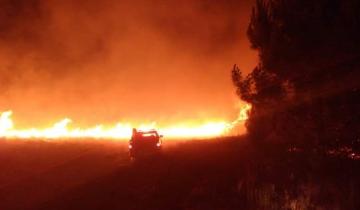 Imagen de Los bomberos trabajan para controlar un incendio de gran magnitud en Mar Azul
