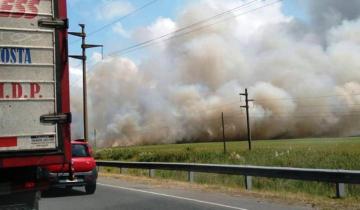Imagen de Villa Gesell: un incendio forestal complica la visibilidad y genera demoras en la Ruta 11
