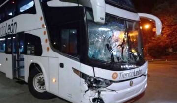 Imagen de AUBASA fue condenada por el choque de un micro contra un caballo suelto en Dolores