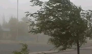 Imagen de La Región: renuevan el alerta por fuertes vientos y advierten ráfagas de hasta 100 km/h