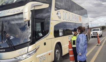 Imagen de Qué protocolos se deben cumplir en micros y trenes de larga distancia en las vacaciones