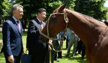 Imagen de Macri le regaló un caballo de polo al Presidente Chino