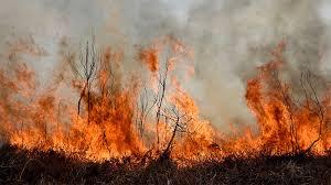 Imagen de El Senado aprobó la Ley de Manejo del Fuego