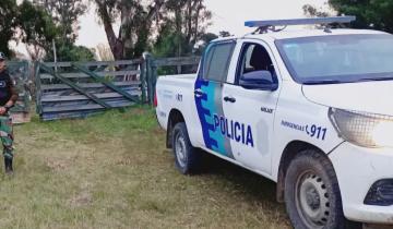 Imagen de Tordillo: un hombre de Dolores murió al ser golpeado por una rama mientras cortaba leña