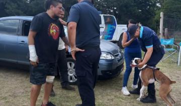 Imagen de General Belgrano: el emotivo reencuentro de un perro con su dueño tras extraviarse por un accidente en la ruta 29