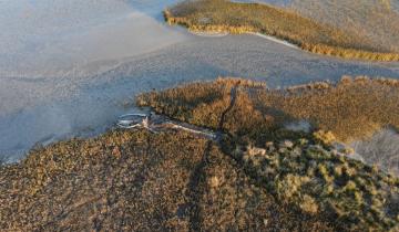 Imagen de San Clemente: el Gobierno nacional creó la nueva reserva ecológica “Marismas del Tuyú”