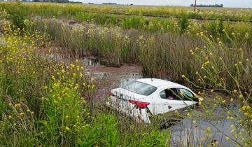 Imagen de Pudo ser una tragedia: se les metió una abeja en el auto, se despistaron y terminaron en una zanja con agua