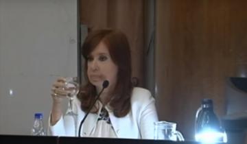 Imagen de Por qué Cristina Kirchner mencionó a Dolores en su declaración