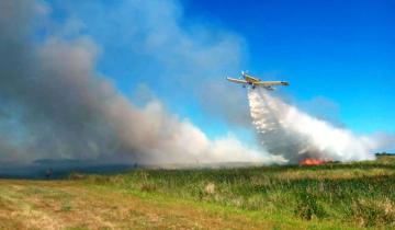 Imagen de Villa Gesell: un avión hidrante y 15 dotaciones de bomberos trabajaron para controlar un incendio forestal