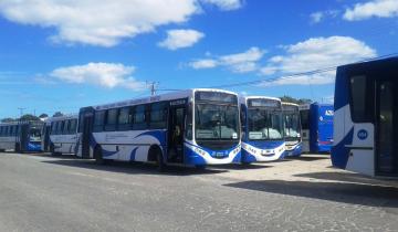 Imagen de Mar del Plata: no funcionan los colectivos por un paro de choferes sin apoyo de la UTA