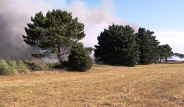 Imagen de Un importante incendio afecta el acceso a Villa Gesell