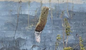 Imagen de Dolores: la nube de humo que cubrió la ciudad provenía de incendios en la zona rural