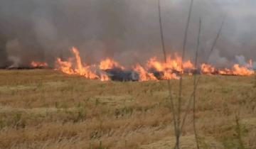 Imagen de Advertencia: peligro de incendios forestales para Madariaga y la región