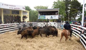 Imagen de Dolores: cómo continúa la XXIV Edición de la Expo Rural