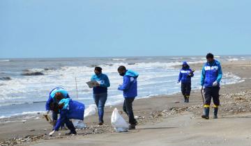 Imagen de La Costa: el 86% de los residuos encontrados en un censo y limpieza de playas fueron plásticos