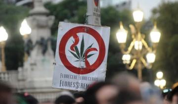 Imagen de La Defensoría del Pueblo reclamó el fin de la persecución a los consumidores de cannabis