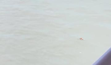 Imagen de Partido de La Costa: los restos encontrados por un piloto en el mar no pertenecen al kayak desaparecido en Pinamar